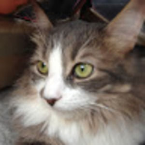 Meet your Posher, Cathy